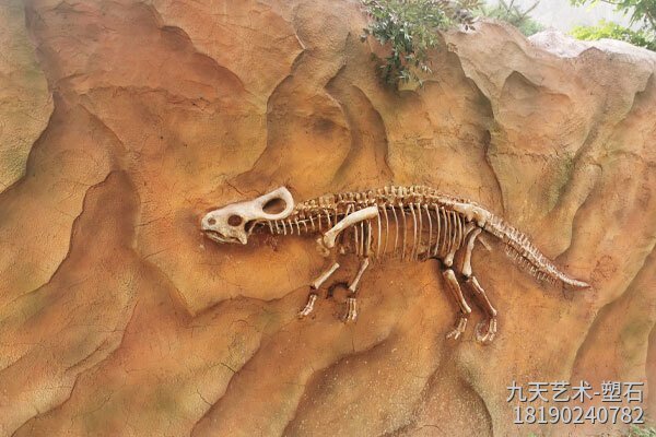 恐龍骨架埋藏巖層