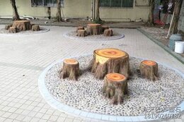 水泥仿樹樁桌凳